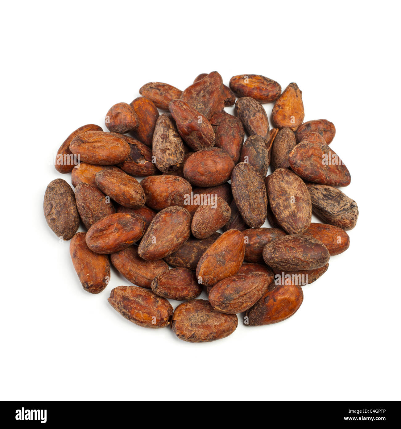 Materie le fave di cacao isolati su sfondo bianco Foto Stock