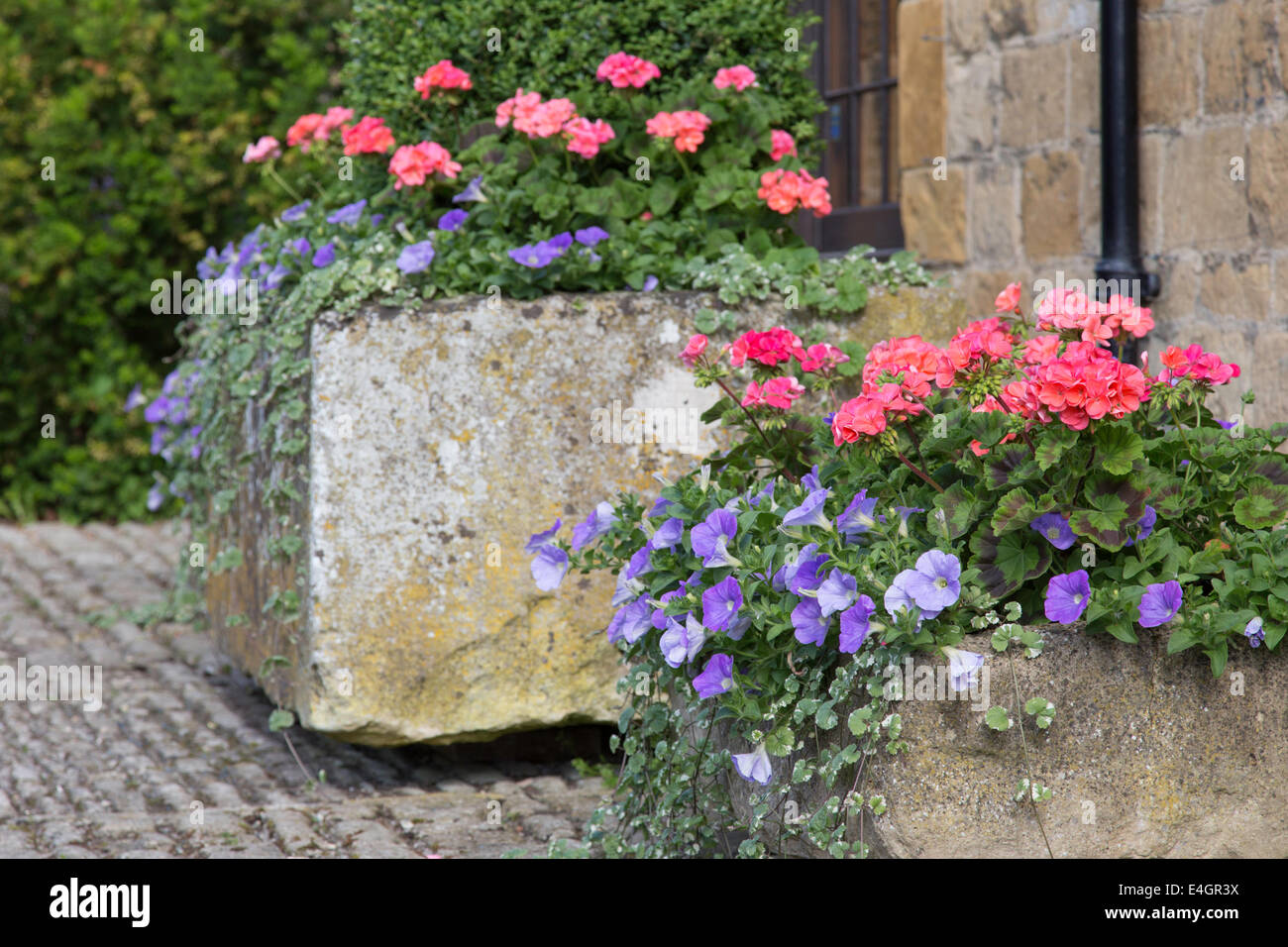 Cotswold trogoli di pietra con biancheria da letto di estate, England, Regno Unito Foto Stock