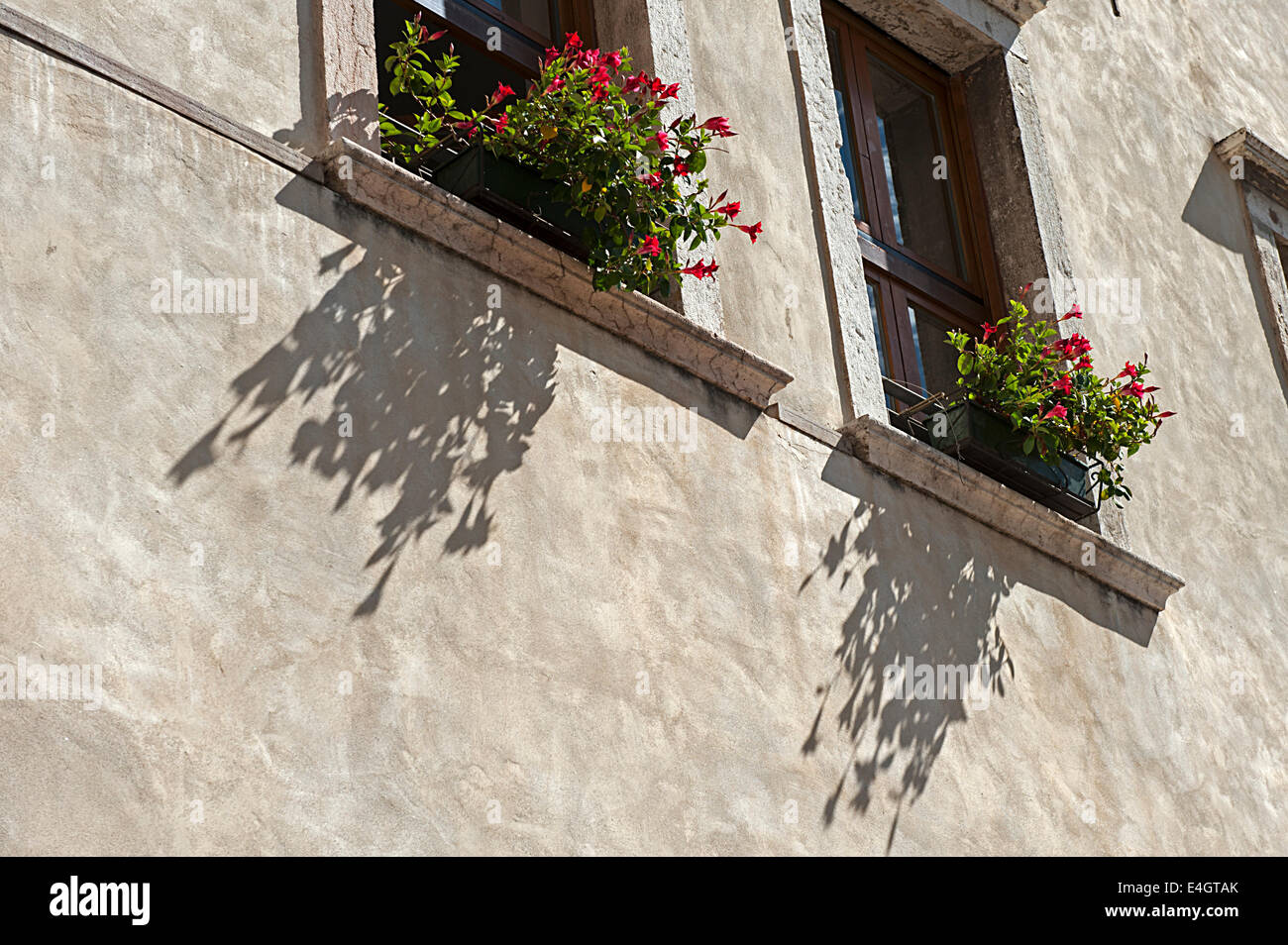 Balkon,Blumen,Fenster,Blumenkasten,Schatten, Foto Stock