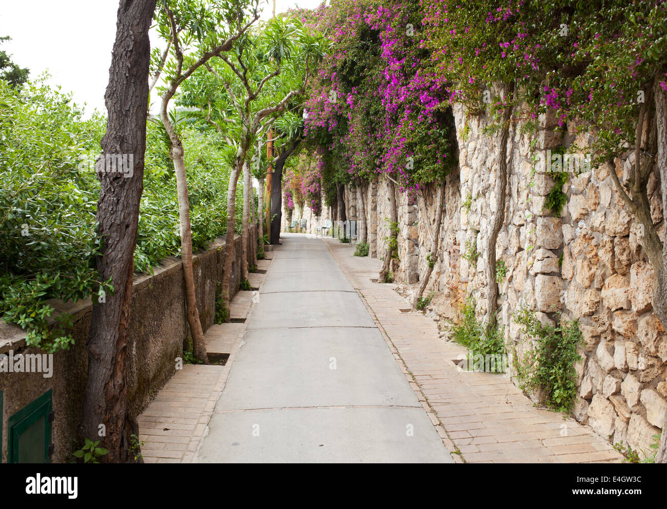 Via Tragara, la famosa strada di isola di Capri. Foto Stock