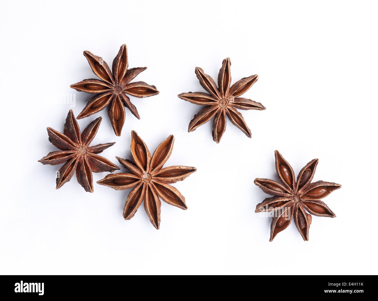 Anice stellato erbe cinesi per la cottura di isolato su bianco Foto Stock