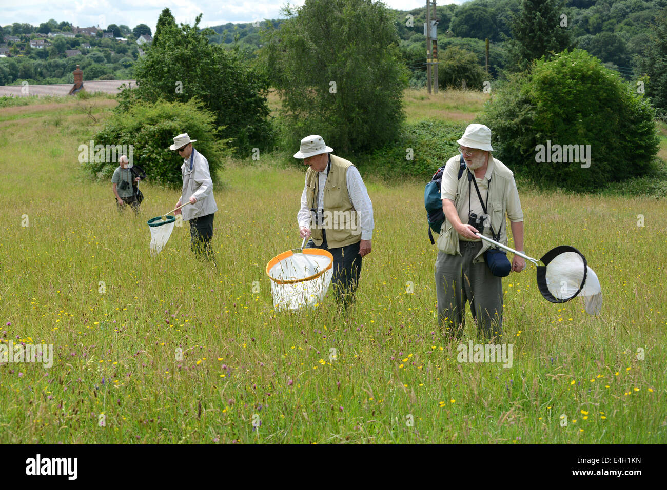 Shropshire Gruppo di invertebrati entomologi sweep netting per gli Invertebrati sondaggio del campo Lodge Foto Stock