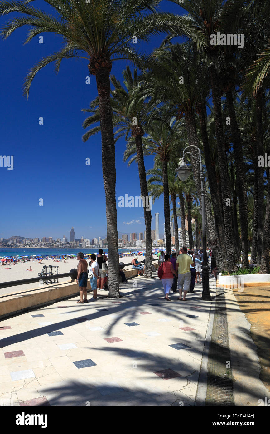 Il Parco e i giardini a Playa de Poniente, località di Benidorm, Costa Blanca, provincia di Valencia, Spagna, Europa. Foto Stock