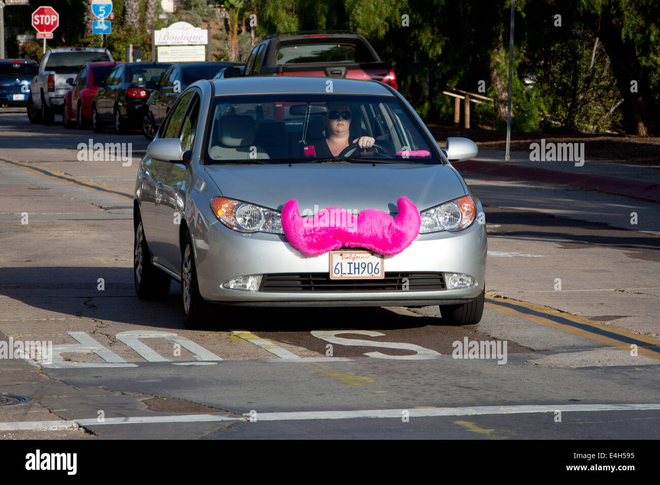 Una donna è alla guida di una vettura per la società rideshare Lyft con una finta jumbo baffi rosa che si aggancia alla griglia della vettura, nel giugno 2014. Lyft è detto di essere il 30% più conveniente di cabine. Foto Stock