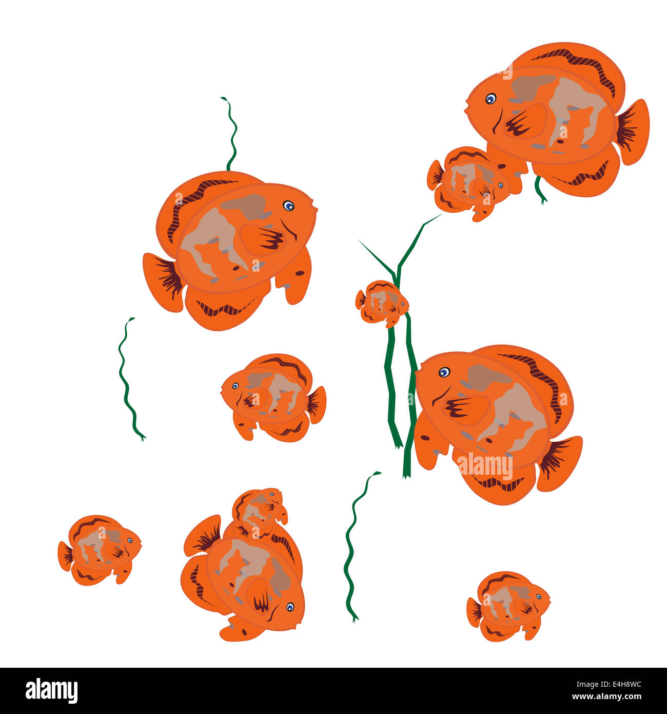Pesce arancione isolati su sfondo bianco. Illustrazione Vettoriale. Foto Stock