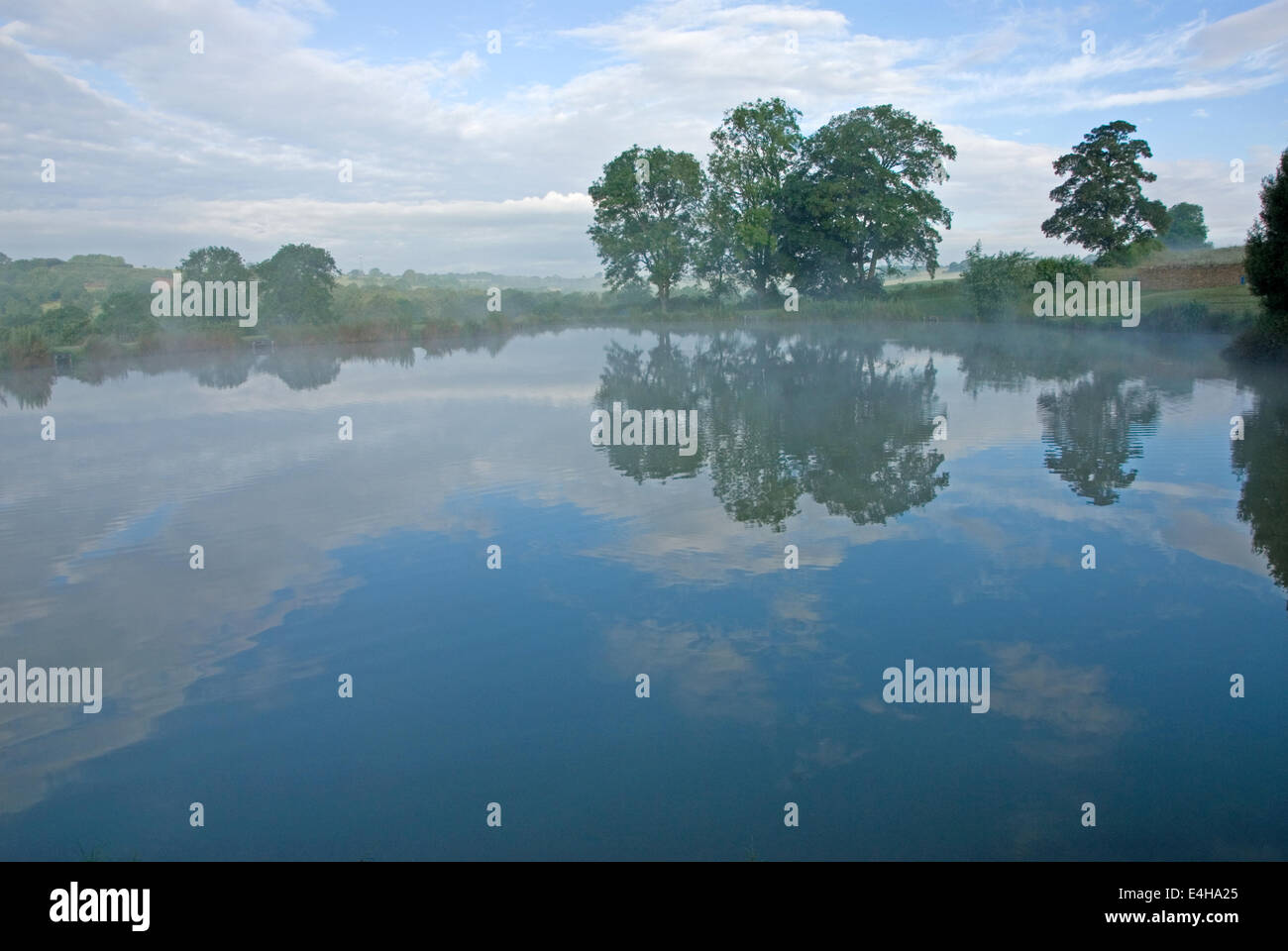 Gli alberi si riflette ancora in acqua di un lago, con nebbia di salita . Foto Stock