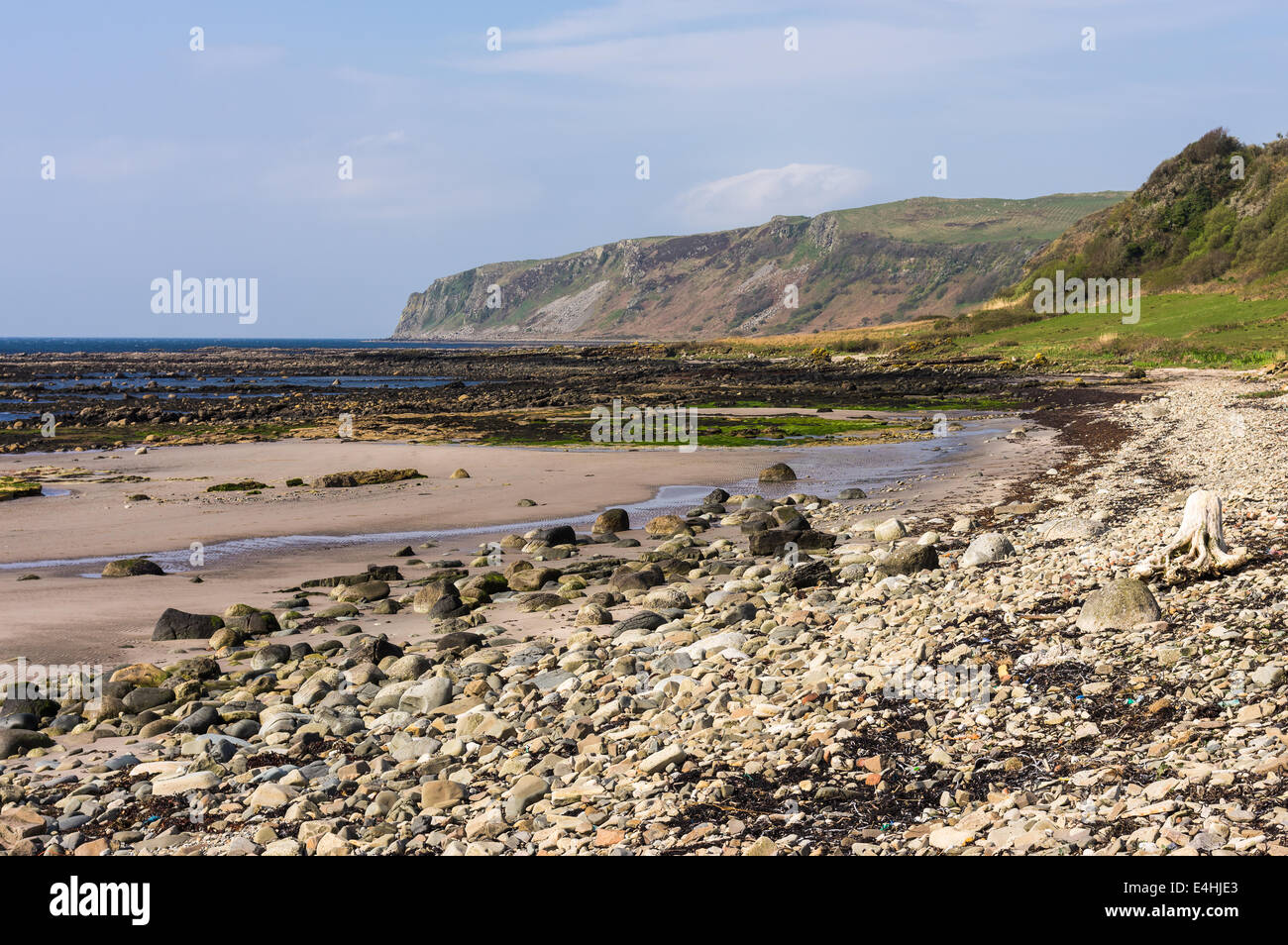 Bennan testa Foto Stock