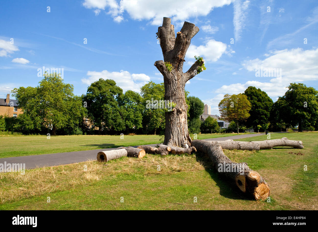 La bellissima Brockwell Park di Brixton, Londra. Foto Stock
