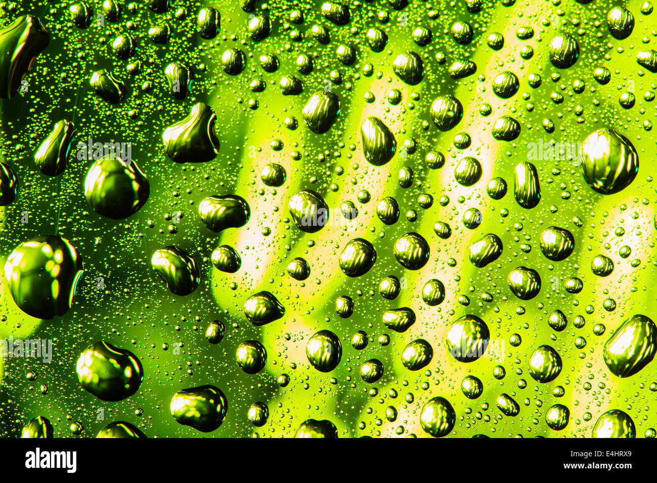 Il verde di gocce di acqua sulla superficie Foto Stock