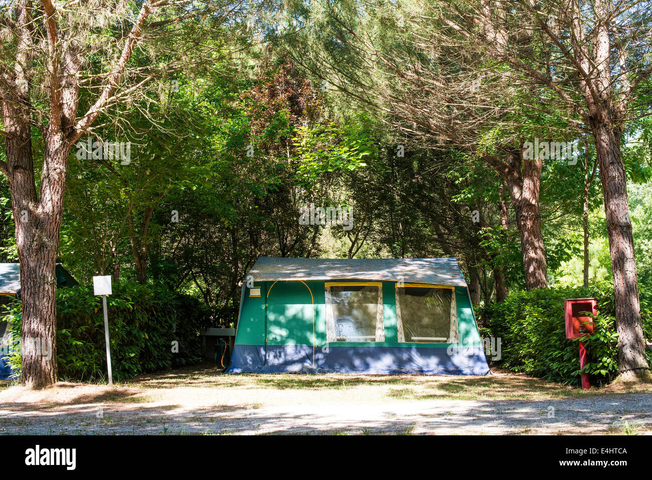 Tenda in campeggio tra gli alberi. Luce solare Foto Stock