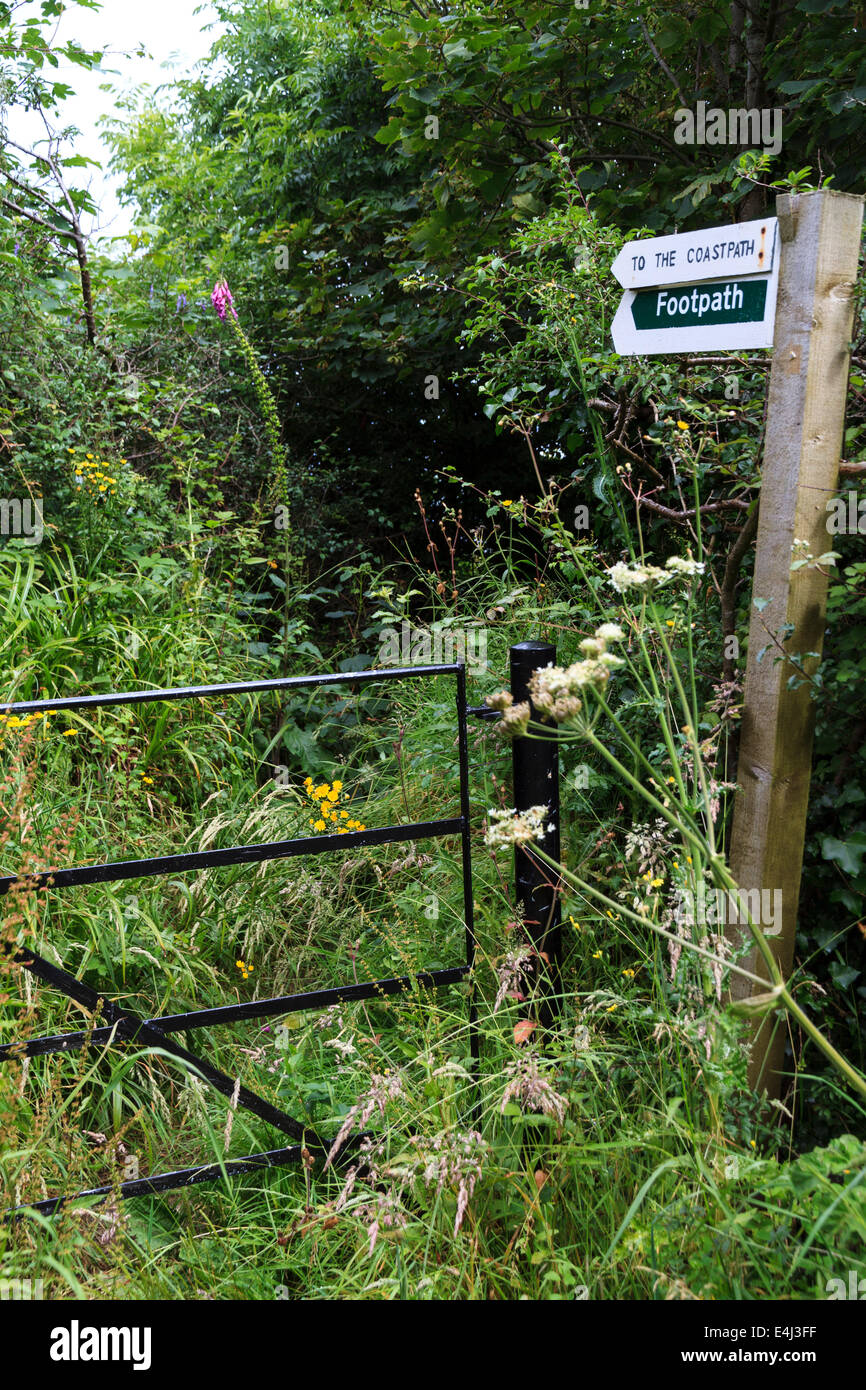 Un molto incolto sentiero con gate e della lettura del segno "all'Coastpath' sul sud-ovest Coastpath, North Cornwall Foto Stock
