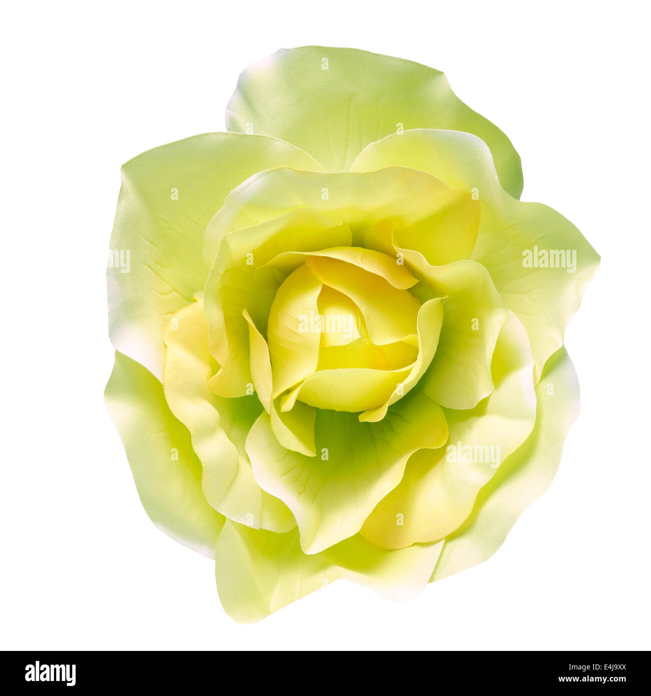Petali floreali Immagini senza sfondo e Foto Stock ritagliate - Alamy