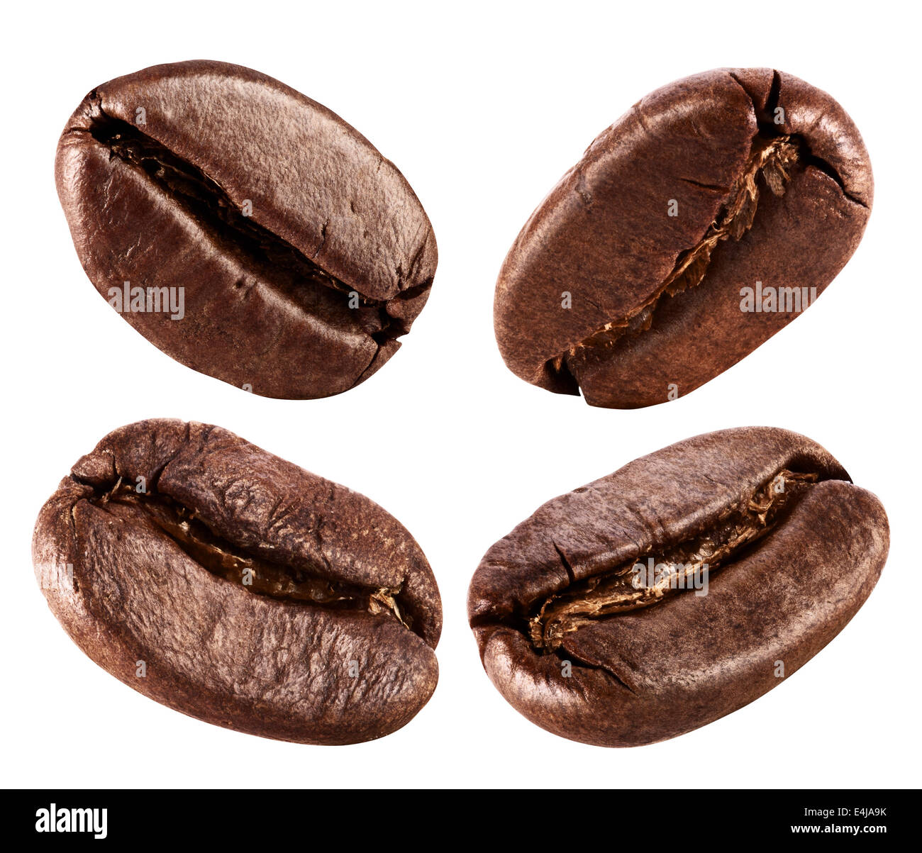 Raccolta di chicchi di caffè isolato su sfondo bianco Foto Stock