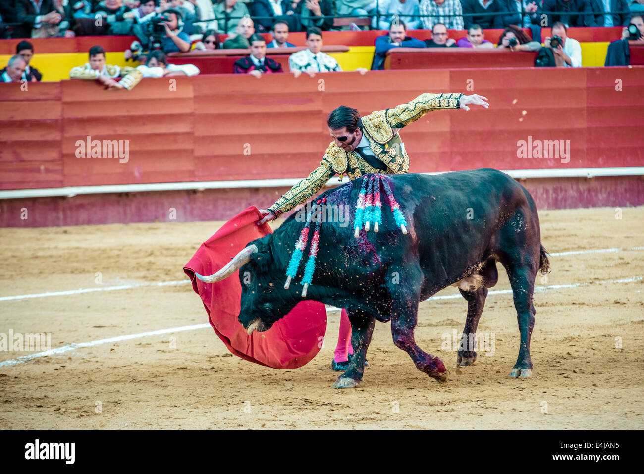 Valencia, Spagna. 16 Mar, 2014. Torero spagnolo Juan Jose PADILLA esegue una muleta passata durante una Corrida nella Plaza de Toros Valencia durante il Fallas Festival. Un paio di migliaia di spettatori hanno dato Juan Jose Padilla un eroe è il benvenuto nella Plaza de Toros di Valencia durante il Fallas Festival. Padilla indossa un eyepatch, guadagnando il soprannome "Il Pirata, ' poiché egli è stato gravemente ferito da un toro nel 2011. © Matthias Oesterle/ZUMA filo/ZUMAPRESS.com/Alamy Live News Foto Stock