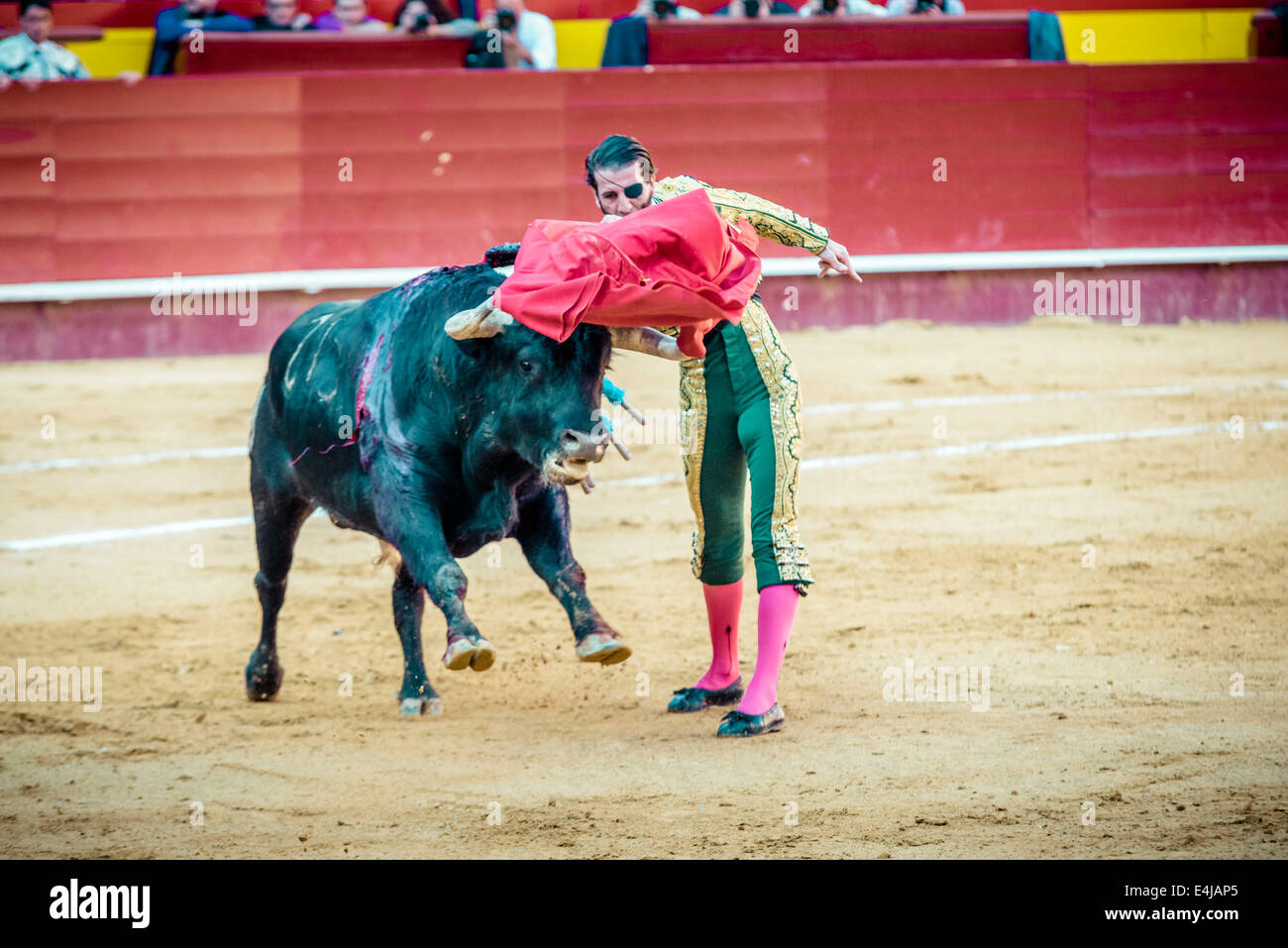 Valencia, Spagna. 16 Mar, 2014. Torero spagnolo Juan Jose PADILLA esegue una muleta passata durante una Corrida nella Plaza de Toros Valencia durante il Fallas Festival. Un paio di migliaia di spettatori hanno dato Juan Jose Padilla un eroe è il benvenuto nella Plaza de Toros di Valencia durante il Fallas Festival. Padilla indossa un eyepatch, guadagnando il soprannome "Il Pirata, ' poiché egli è stato gravemente ferito da un toro nel 2011. © Matthias Oesterle/ZUMA filo/ZUMAPRESS.com/Alamy Live News Foto Stock