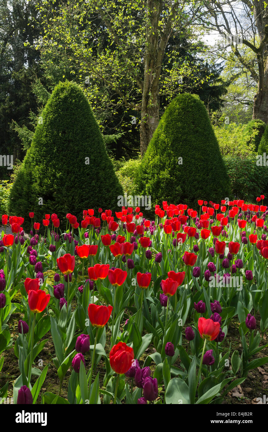 I giardini di Constable Burton Hall, North Yorkshire Foto Stock