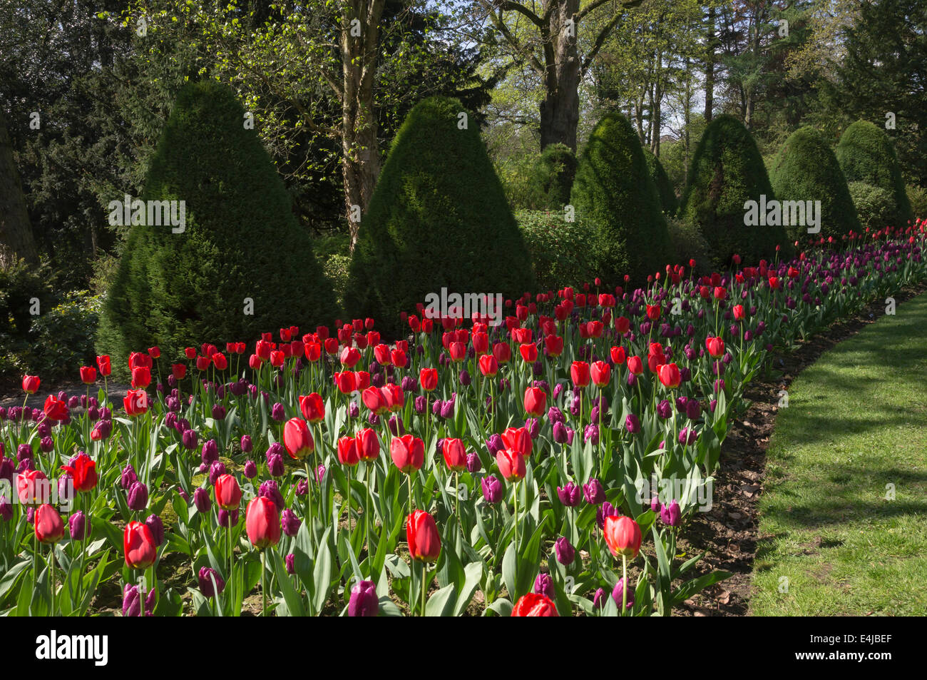 I giardini di Constable Burton Hall, North Yorkshire Foto Stock