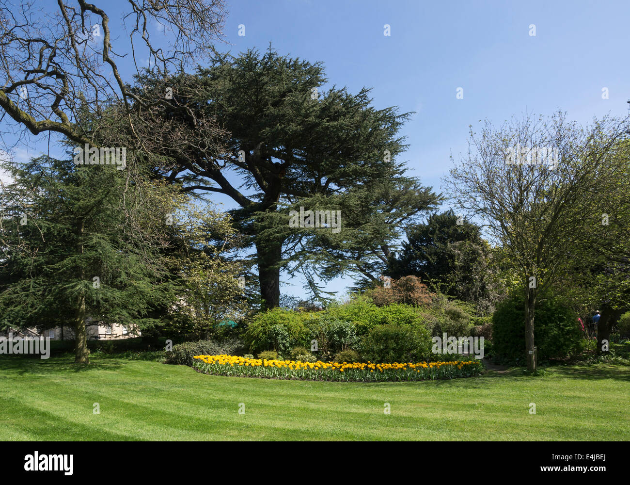 I giardini di Constable Burton Hall, North Yorkshire Foto Stock