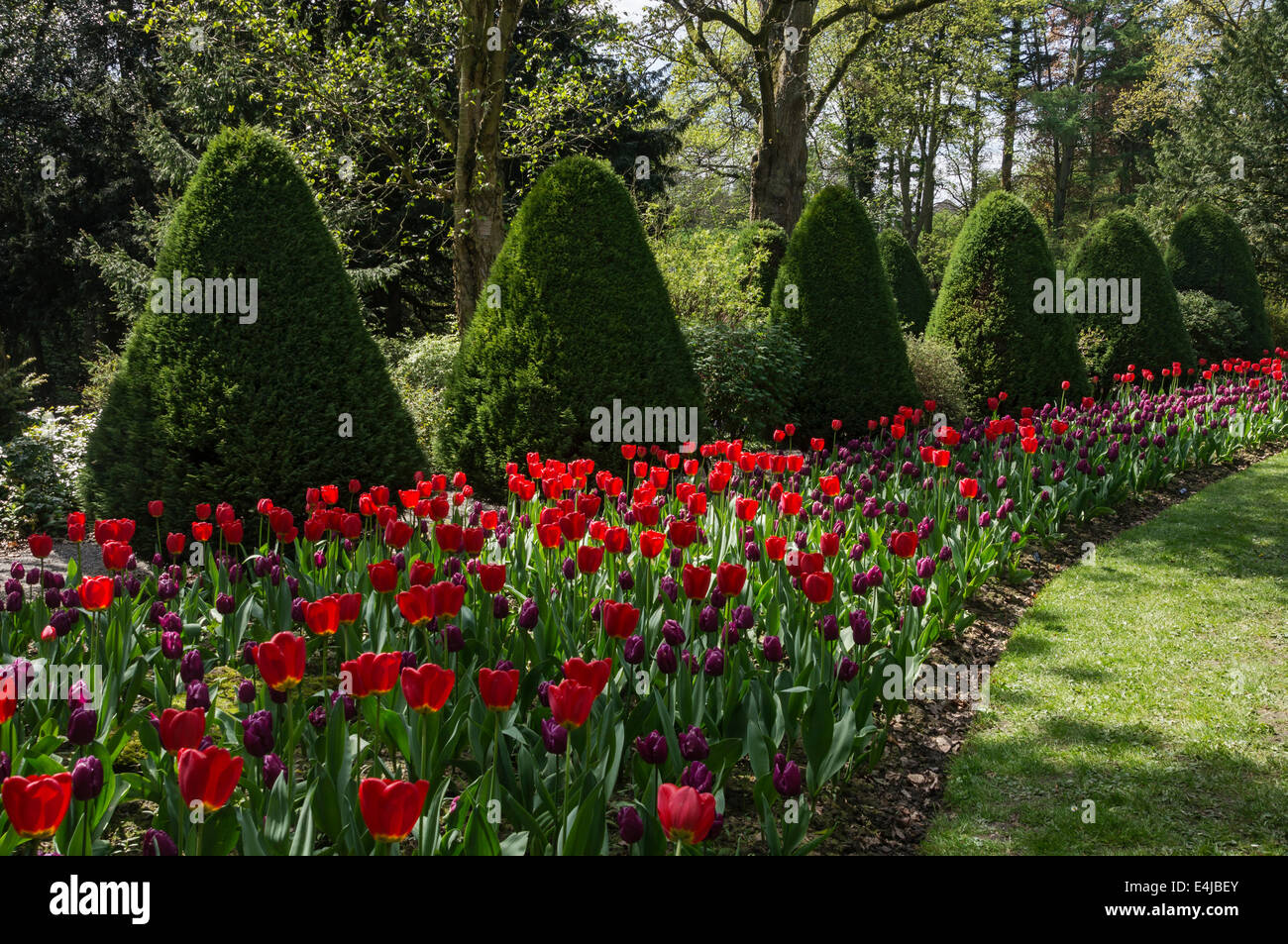 I giardini di Constable Burton Hall, North Yorkshire Foto Stock