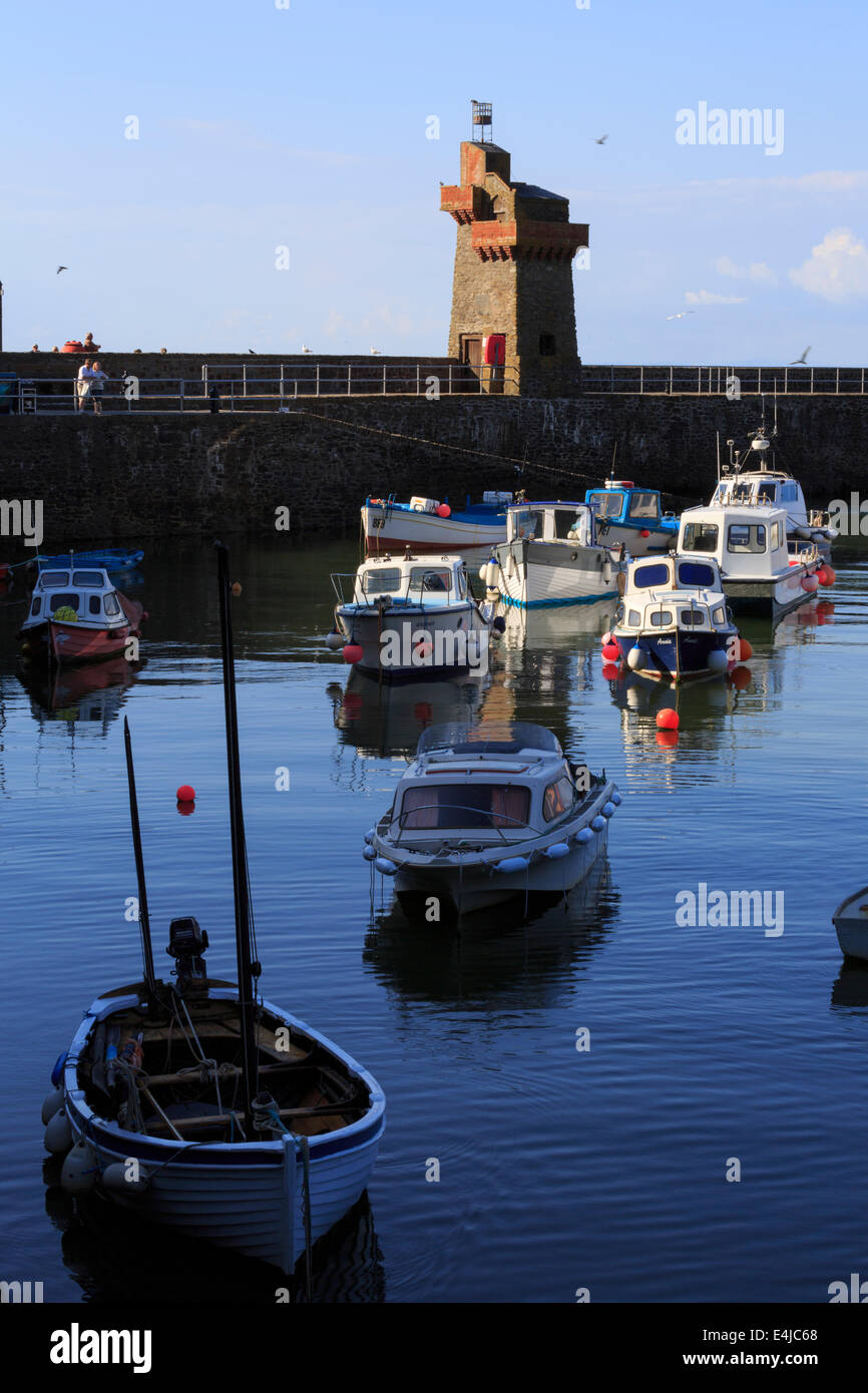 Lynmouth Harbour e Torre renano, Devon Foto Stock