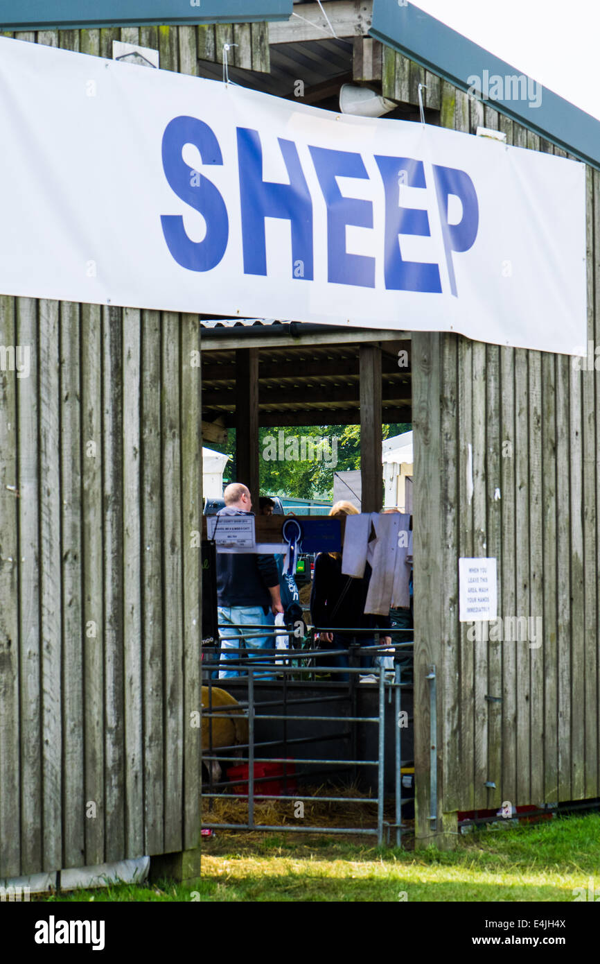 Segno di pecora a pecora fienile presso la contea del Kent visualizza, 2014 Foto Stock