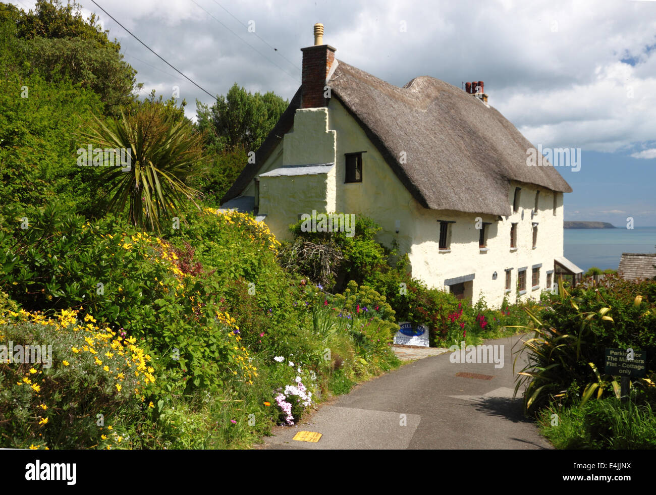 Una fila di crema con il tetto di paglia cottage colorati con piante subtropicali e il mare in lontananza. Foto Stock