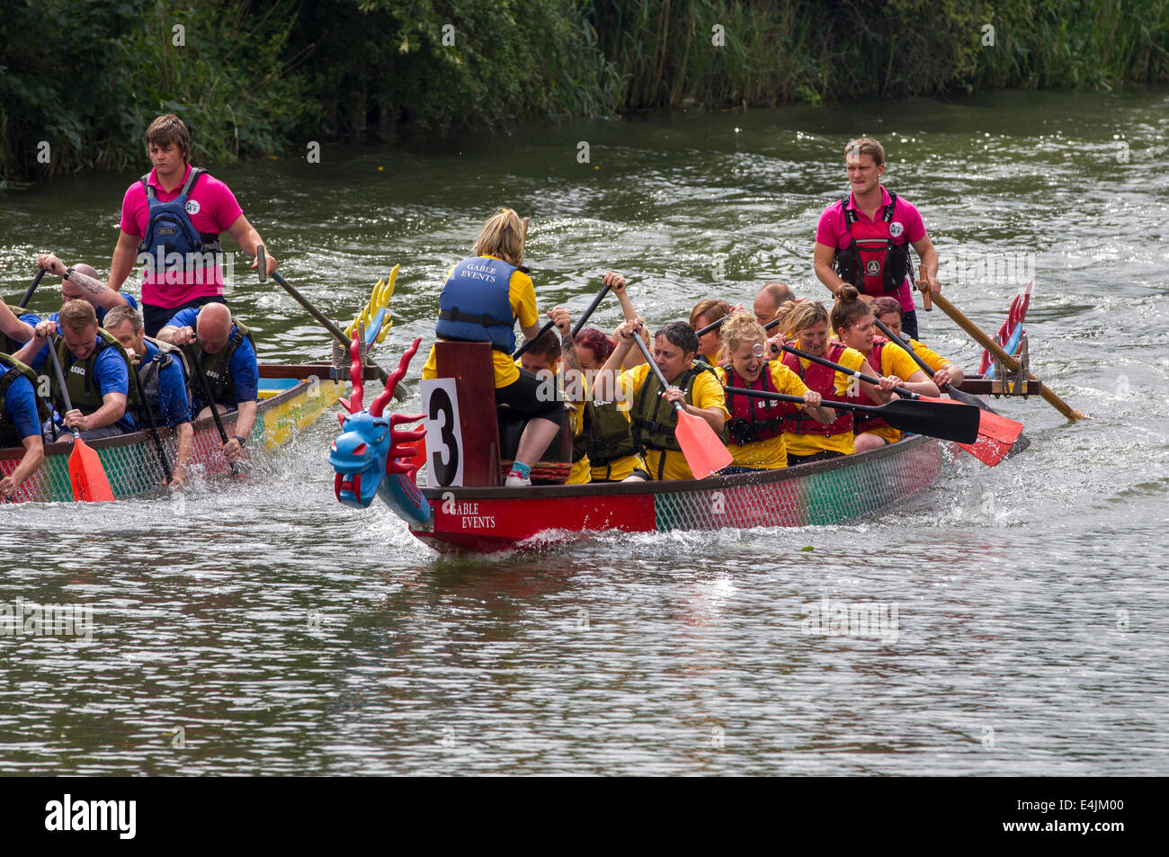 Northampton, Regno Unito 13 luglio 2014. Dragon Boat Festival di mezza estate, Prato, organizzata dal Rotary Club di Northampton con 39 squadre in evento di quest'anno. Il supporto del Warwickshire e Northamptonshire Air Ambulance. Foto Stock