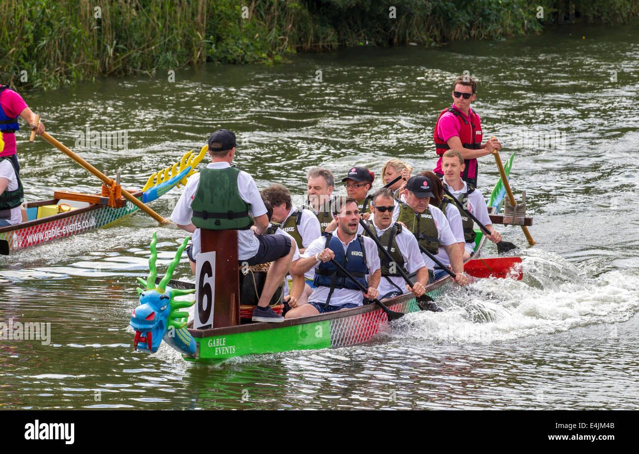 Northampton, Regno Unito 13 luglio 2014. Dragon Boat Festival di mezza estate, Prato, organizzata dal Rotary Club di Northampton con 39 squadre concorrenti negli anni questo evento, il supporto del Warwickshire e Northamptonshire Air Ambulance. Foto Stock