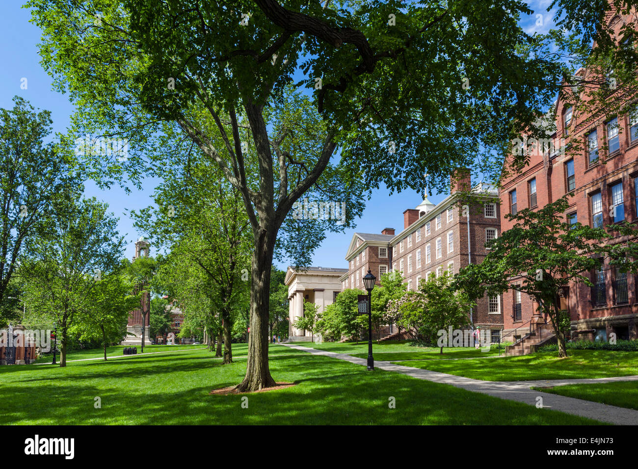 Tranquilla e verde presso la Brown University College Hill quartiere storico di Providence, Rhode Island, STATI UNITI D'AMERICA Foto Stock