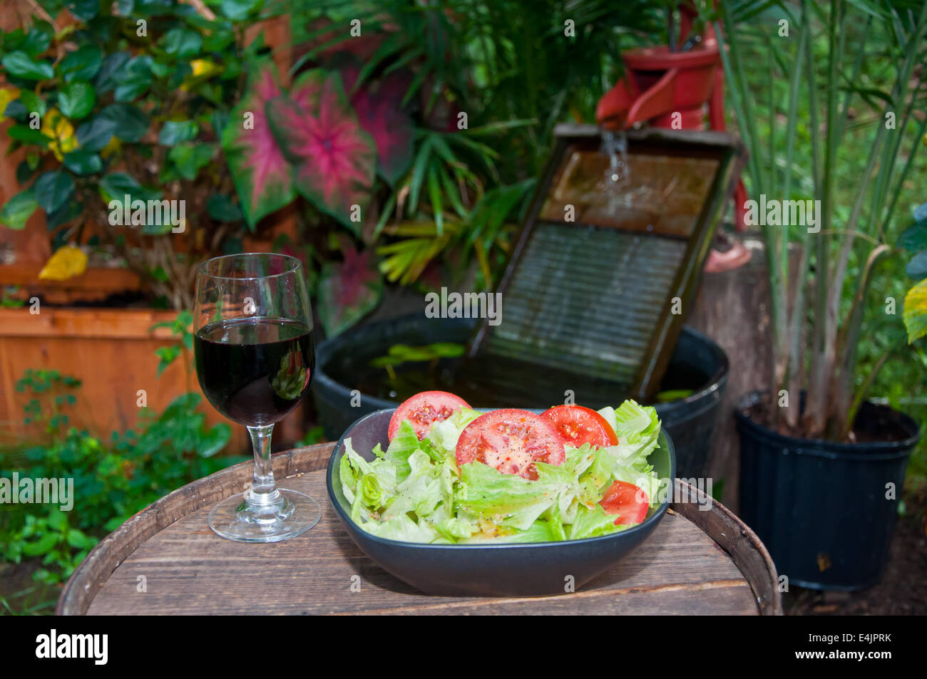Sano Picnic Foto Stock