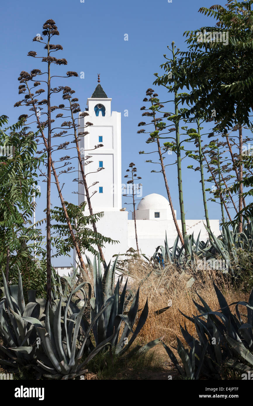 Il minareto di Sidi Bou Said moschea in locale i colori tradizionali. Foto scattata nel sobborgo di Tunisi - capitale della Tunisia Foto Stock