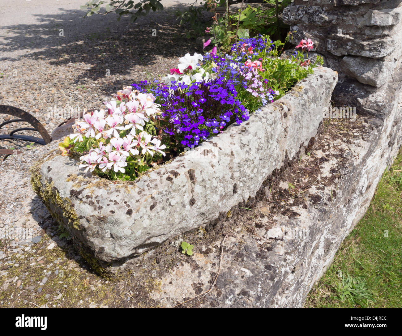 Il vecchio canale in pietra situato in un giardino di pietra calcarea piantata a parete con fiori estivi in Nunnington una pittoresca North Yorkshire village Foto Stock