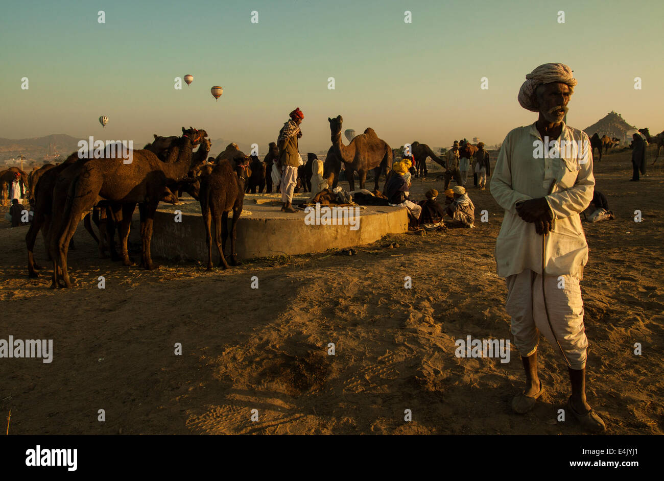 Nel terreno in Pushkar Camel Fair Foto Stock