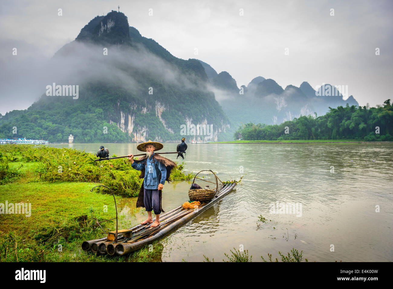 Cormorano pescatore e i suoi uccelli sul fiume Li in Yangshuo, Guangxi, Cina. Foto Stock