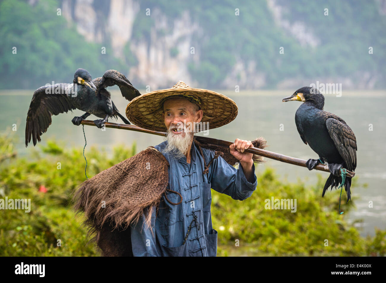 Cormorano pescatore e i suoi uccelli sul fiume Li in Yangshuo, Guangxi, Cina. Foto Stock