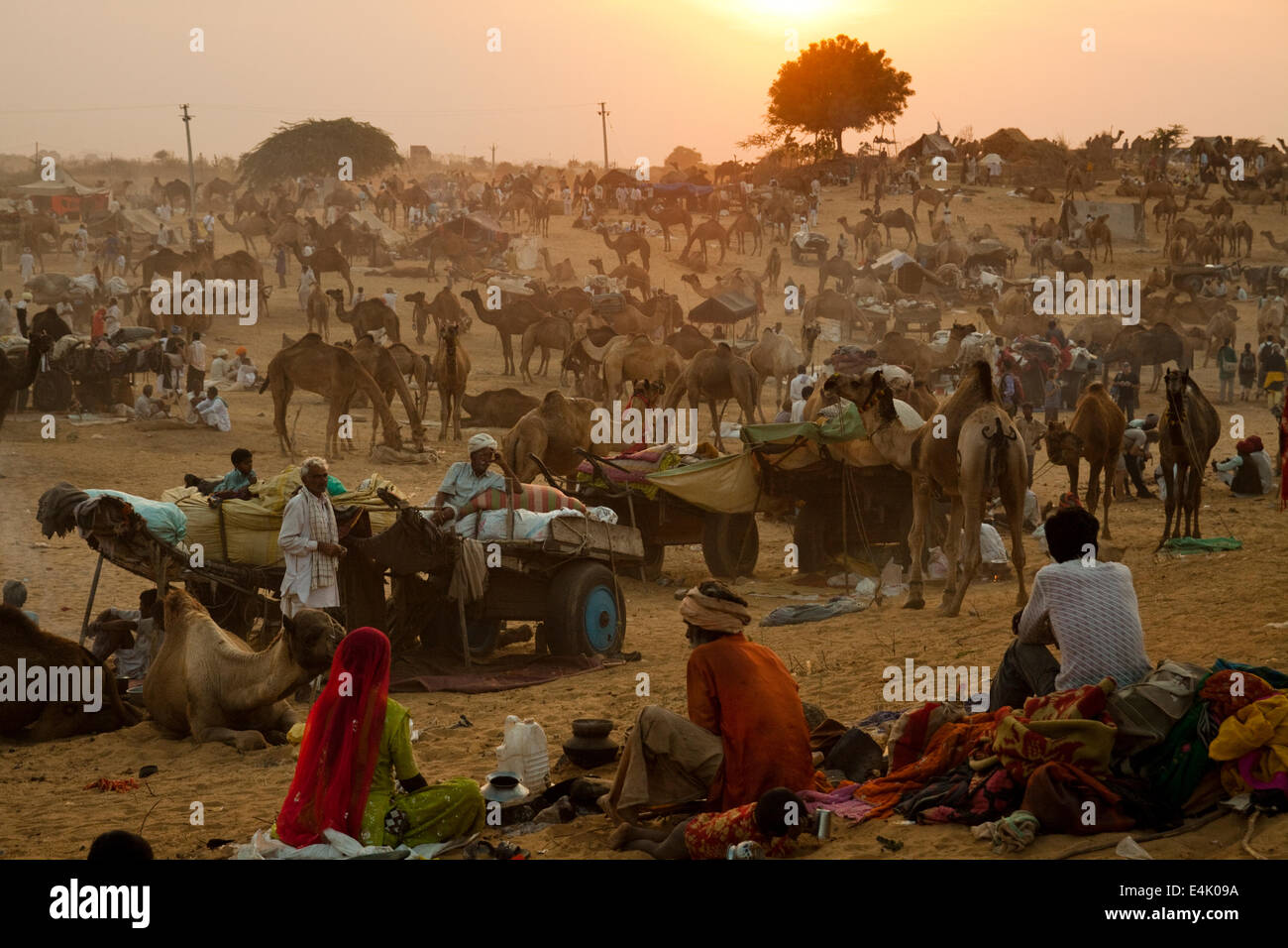 Nel terreno in Pushkar Camel Fair Foto Stock