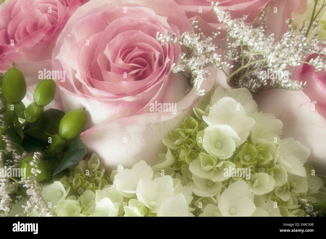 Nozze da sogno bouquet di rose, Marin County, California, Stati Uniti d'America Foto Stock