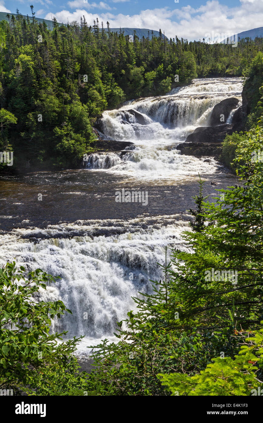 La parte superiore e inferiore di cascate di panettiere Brook cade in Gros Morne Natrional Park, Terranova, Canada Foto Stock