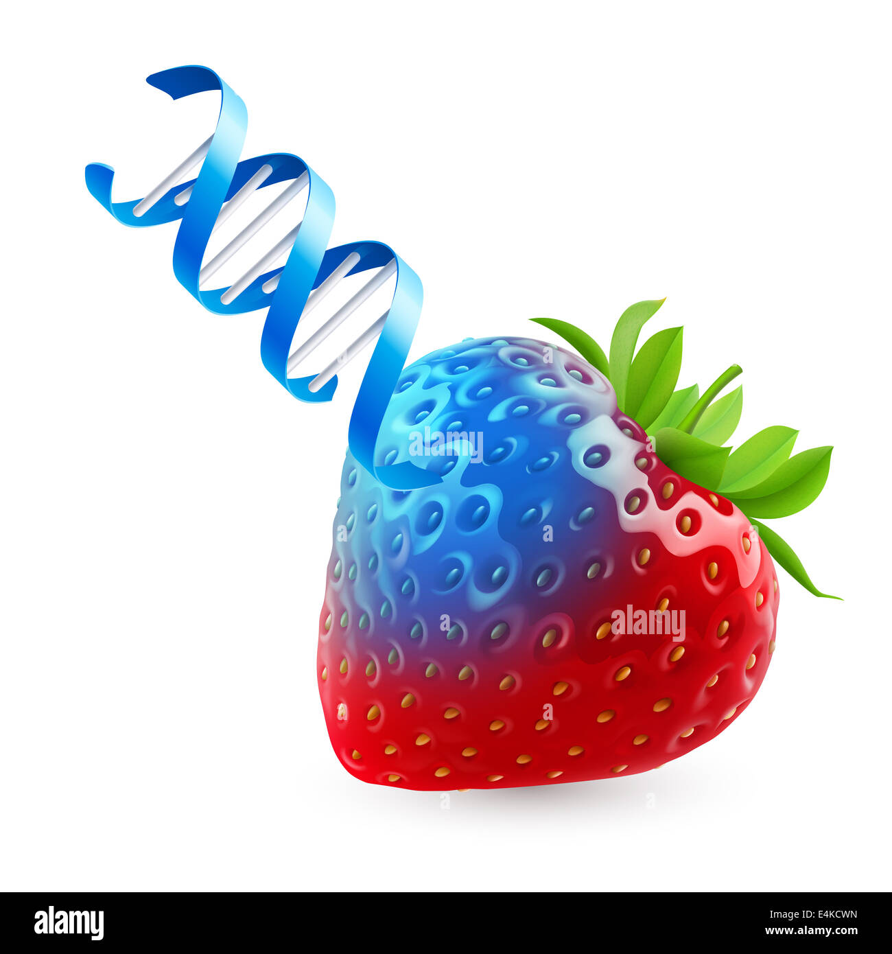 Fragole fresche sottoposte a rendering OGM come DNA Foto Stock