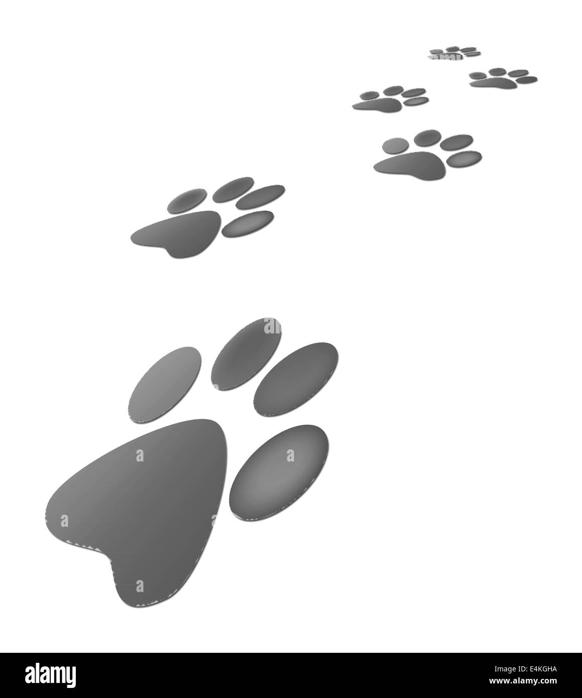 Vita selvaggia Foto Stock