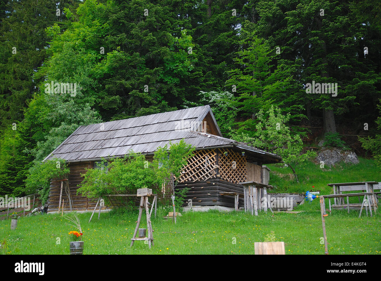 Lonely casa in legno in foresta Foto Stock