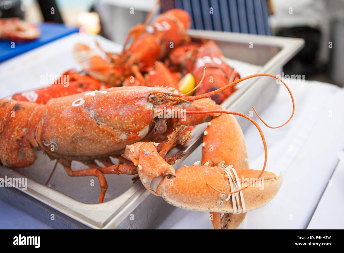 Scampi al Dorset festival di frutti di mare. Weymouth, Dorset Regno Unito Foto Stock