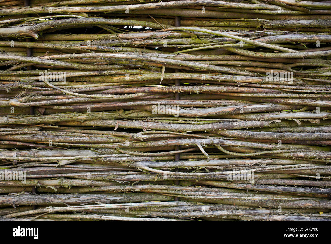 Rami Di Legno Su Un Recinto Come Fondo Immagine Stock - Immagine di  marrone, strutturato: 108376869