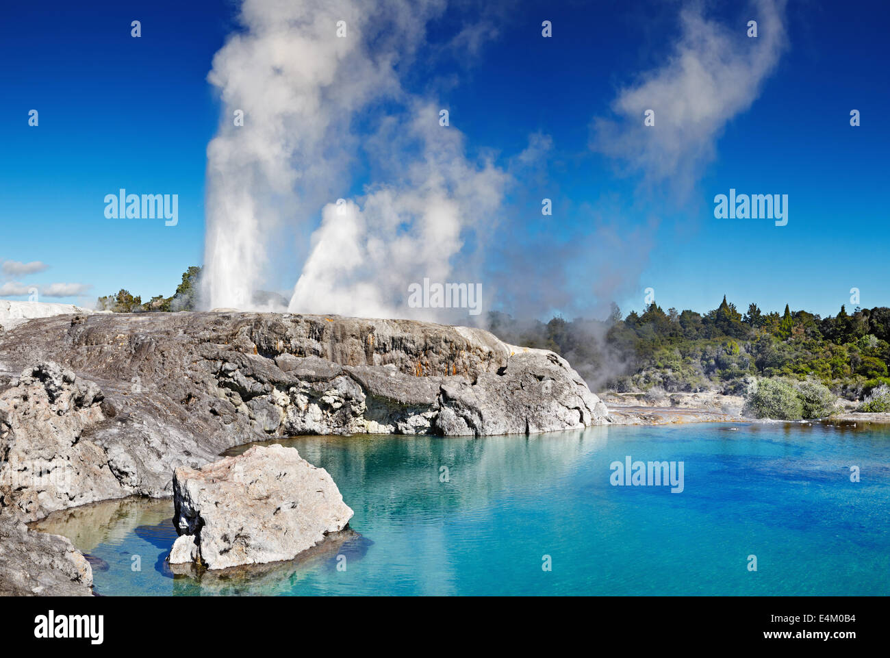 Pohutu Geyser, Whakarewarewa Thermal Valley, a Rotorua, Nuova Zelanda Foto Stock