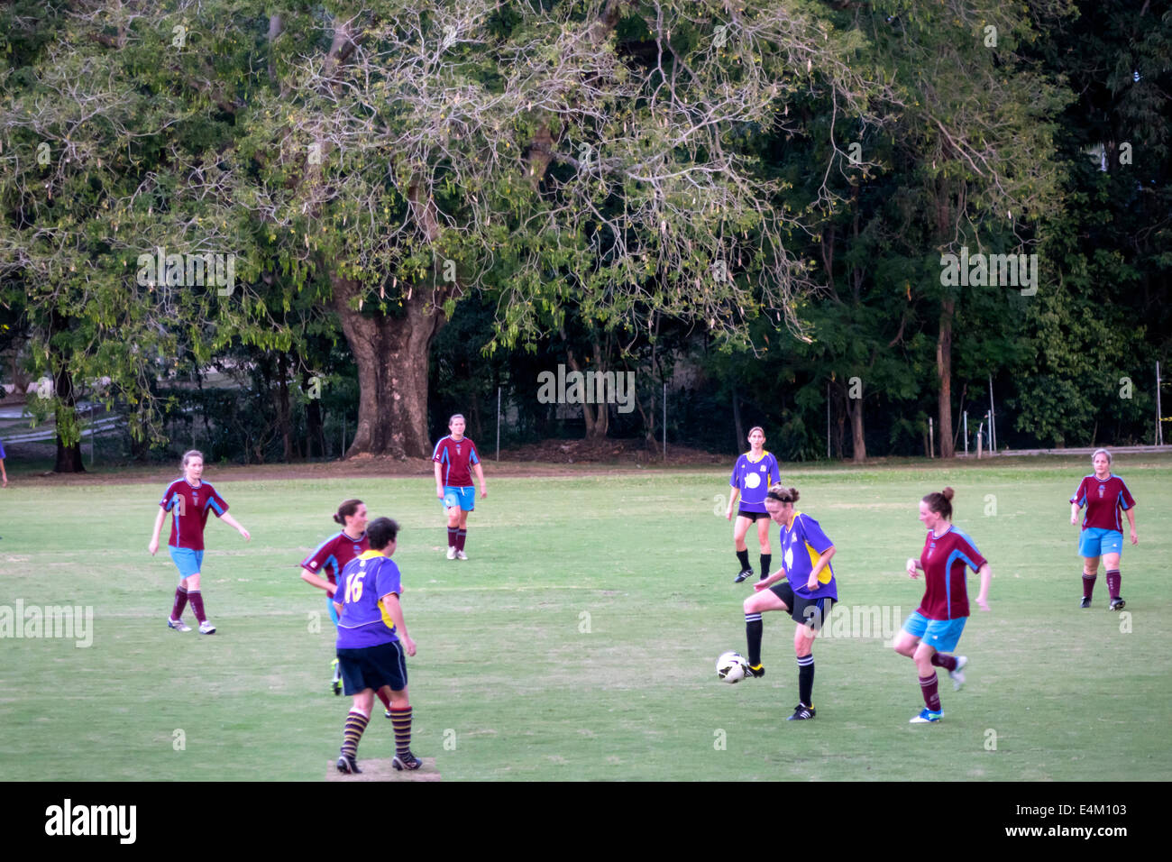 Brisbane Australia,Università del Queensland,campus,scuola,istruzione,studenti teen teen adolager teenagers girl girls,youngster,femmina kids ch Foto Stock