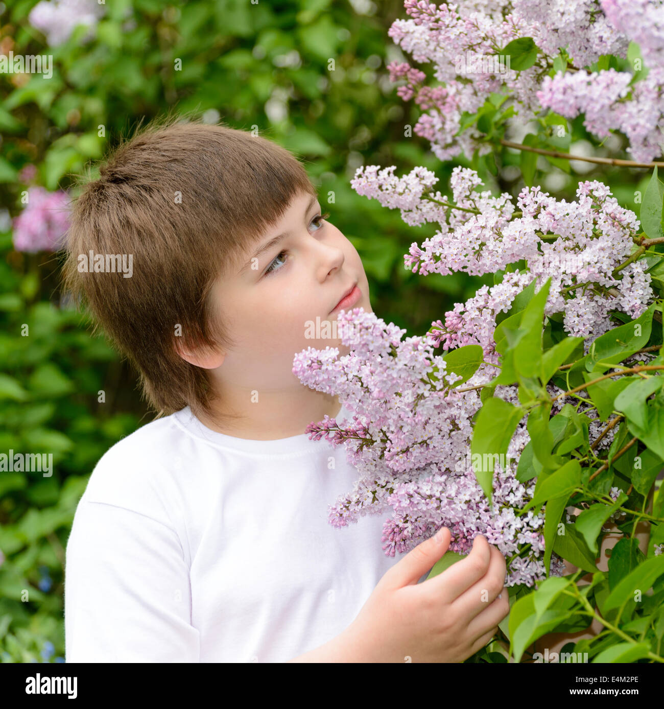 Un ragazzo di dieci anni vicino a fioritura di lillà Foto Stock