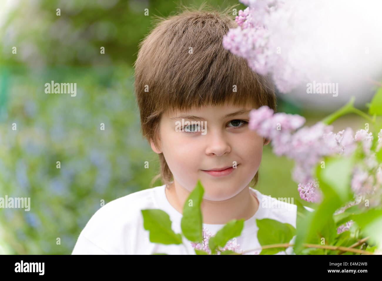 Un ragazzo di dieci anni vicino a fioritura di lillà Foto Stock