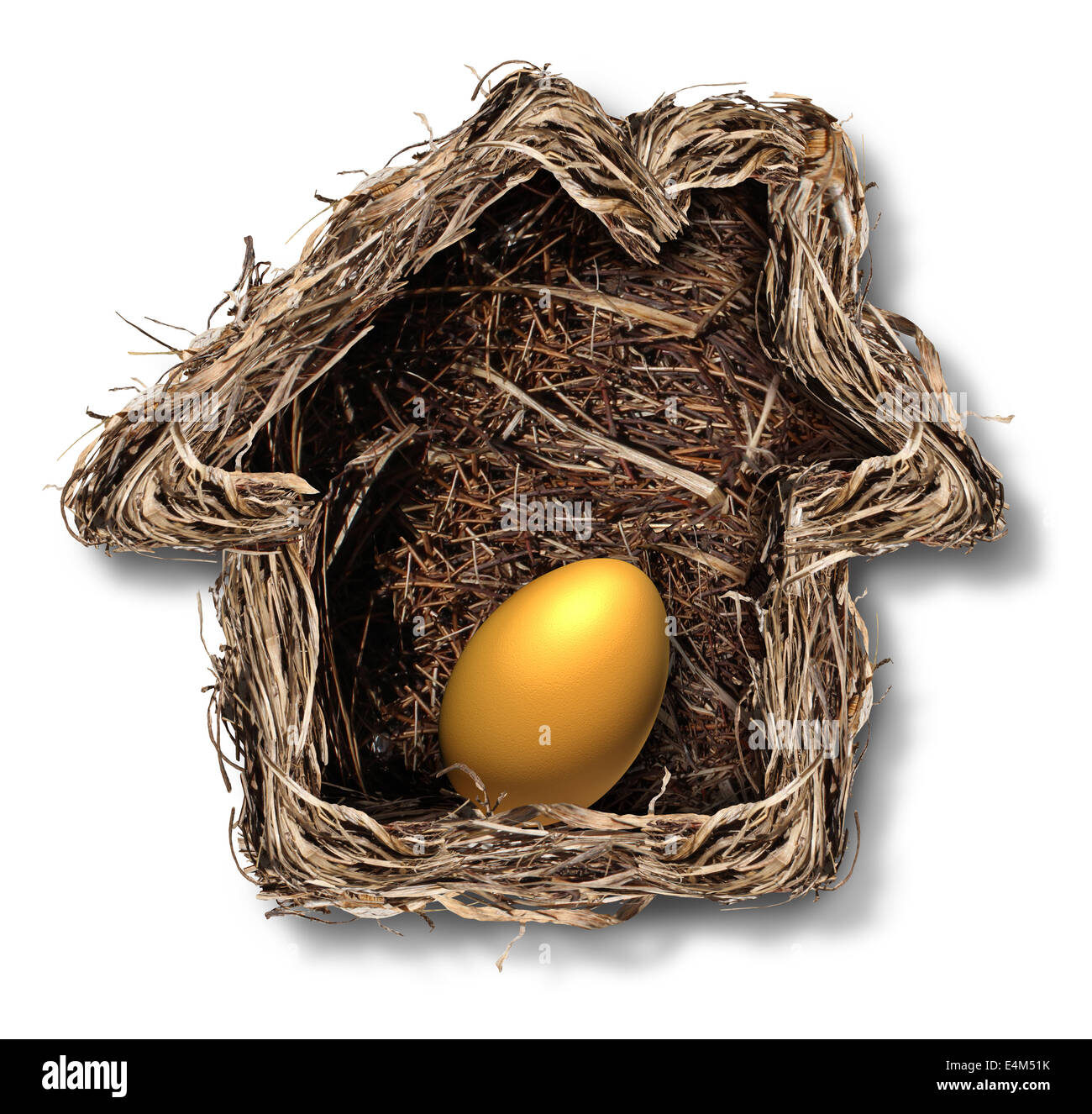 Home finanze e residenziale simbolo azionario come un nido di uccelli conformata come una casa di famiglia con un oro uovo dentro come una metafora per la pinna Foto Stock