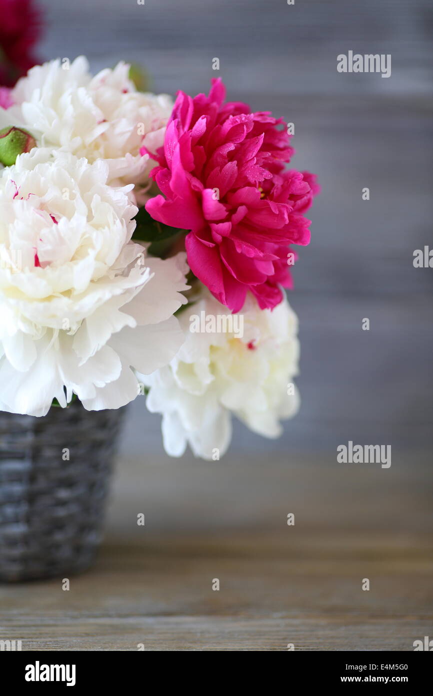 Il marrone rossiccio e peonie bianco in un vaso di fiori Foto Stock