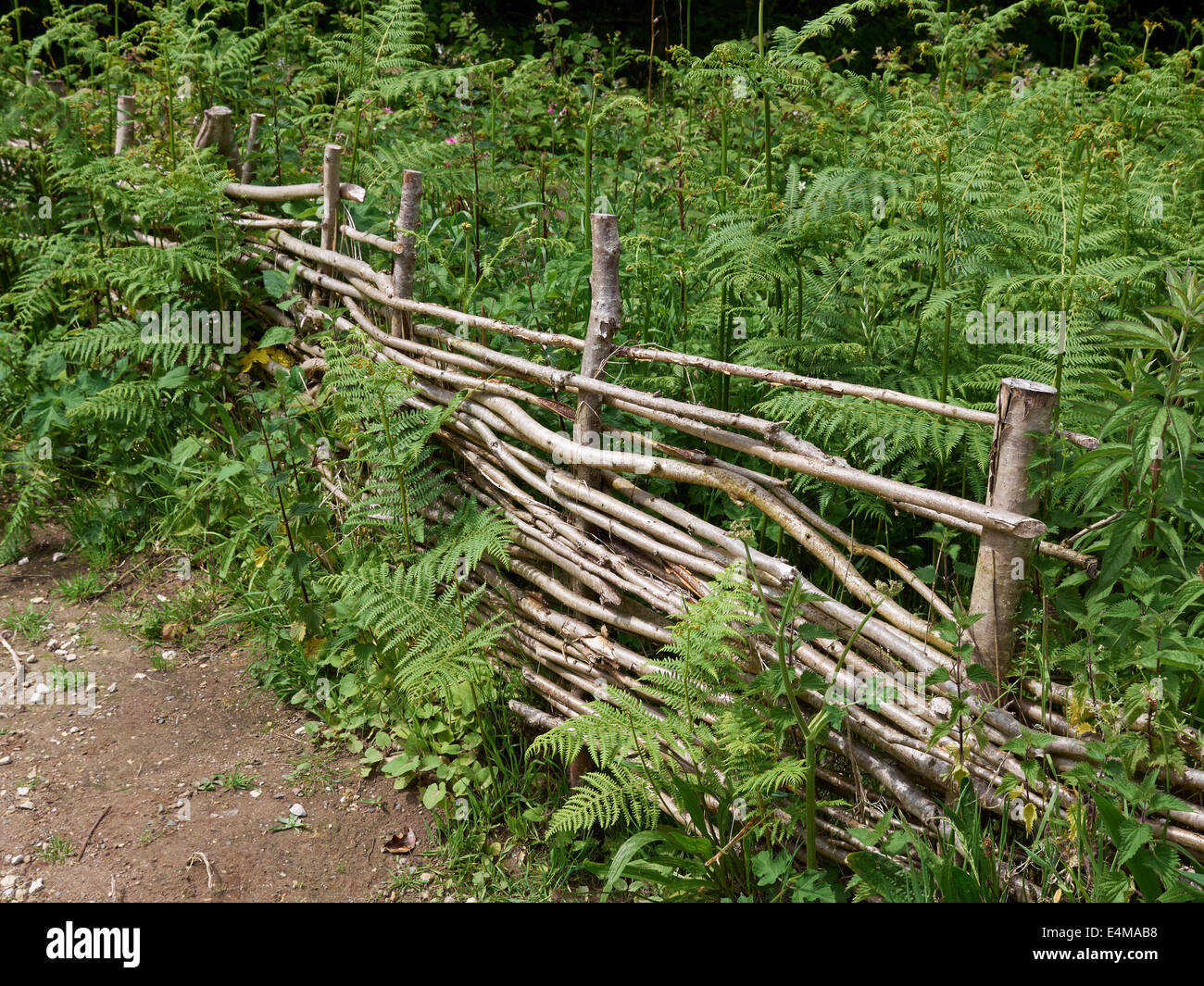 Recinto di Wattle Foto Stock